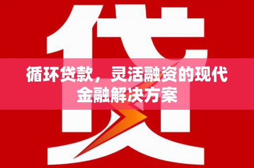 庆元循环贷款，灵活融资的现代金融解决方案