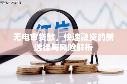 庆元无电审贷款，快速融资的新选择与风险解析