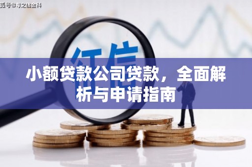 庆元小额贷款公司贷款，全面解析与申请指南