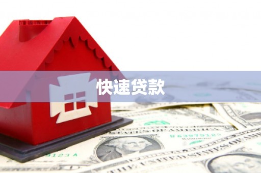庆元快速贷款