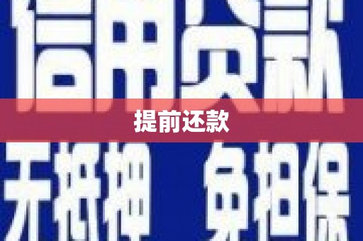 庆元提前还款