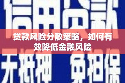 庆元贷款风险分散策略，如何有效降低金融风险