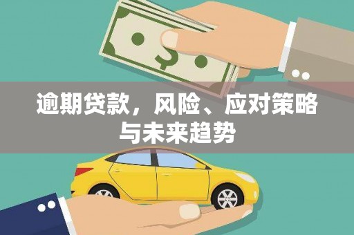 庆元逾期贷款，风险、应对策略与未来趋势