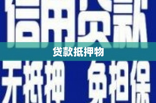 庆元贷款抵押物