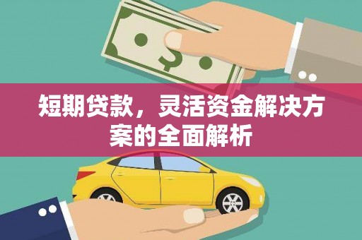 庆元短期贷款，灵活资金解决方案的全面解析