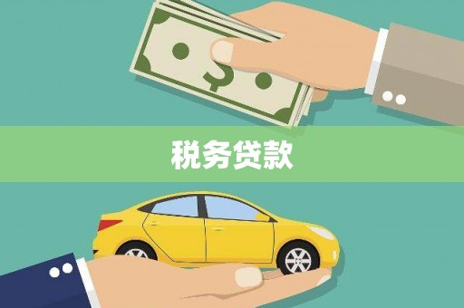 庆元税务贷款