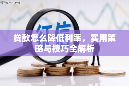 庆元贷款怎么降低利率，实用策略与技巧全解析