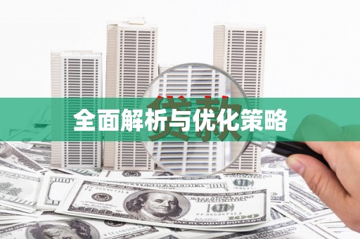 庆元全面解析与优化策略