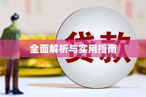 庆元全面解析与实用指南