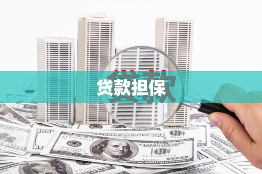 庆元贷款担保