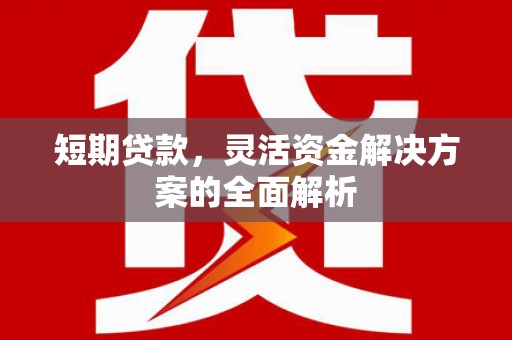 庆元短期贷款，灵活资金解决方案的全面解析