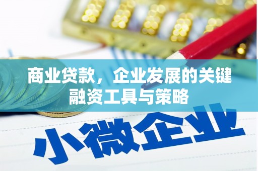 庆元商业贷款，企业发展的关键融资工具与策略