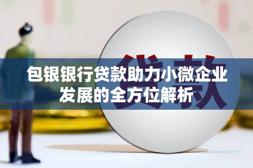 庆元包银银行贷款助力小微企业发展的全方位解析