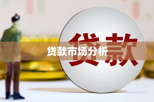 庆元贷款市场分析