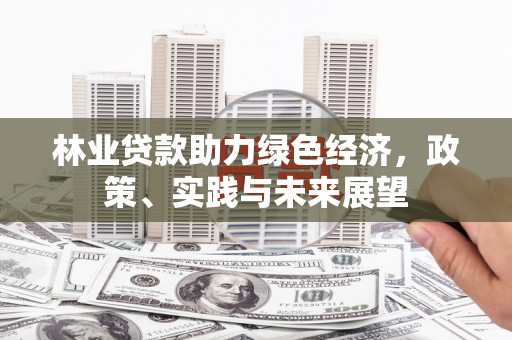 庆元林业贷款助力绿色经济，政策、实践与未来展望