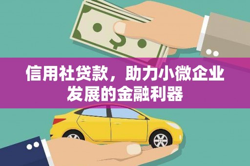 庆元信用社贷款，助力小微企业发展的金融利器