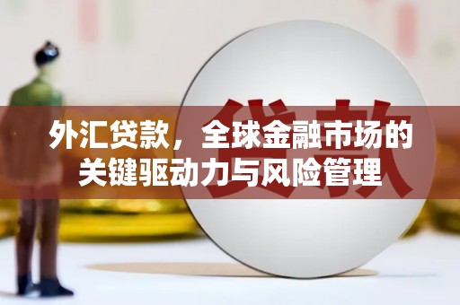 庆元外汇贷款，全球金融市场的关键驱动力与风险管理