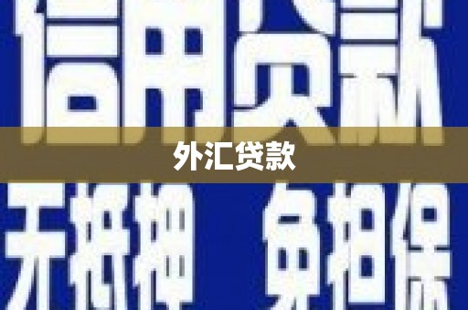 庆元外汇贷款