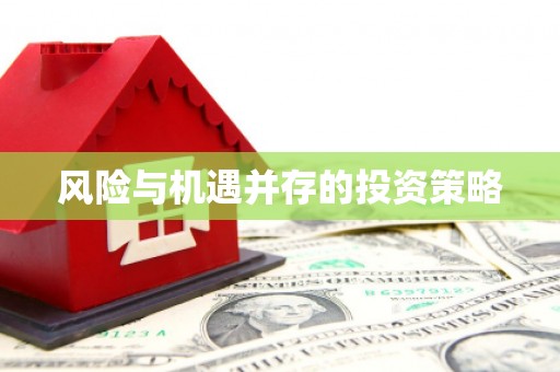 庆元风险与机遇并存的投资策略