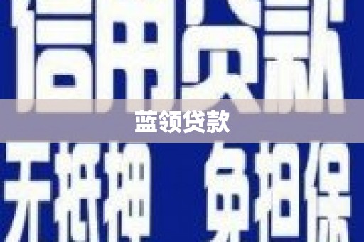 庆元蓝领贷款