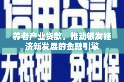 庆元养老产业贷款，推动银发经济新发展的金融引擎