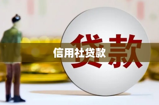 庆元信用社贷款
