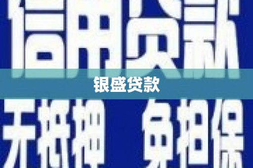 庆元银盛贷款