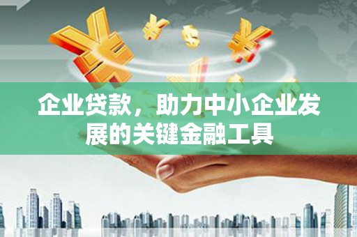 庆元企业贷款，助力中小企业发展的关键金融工具