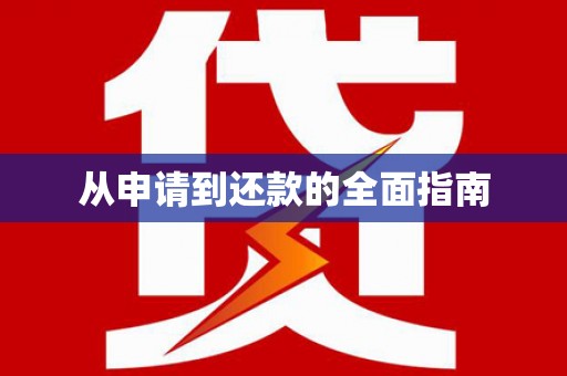 庆元从申请到还款的全面指南