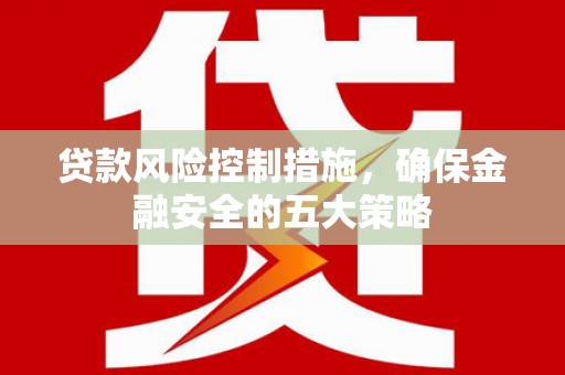 庆元贷款风险控制措施，确保金融安全的五大策略