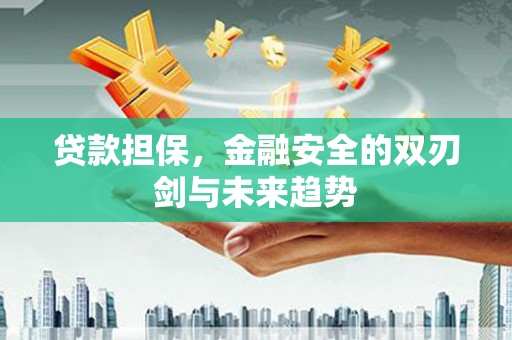 庆元贷款担保，金融安全的双刃剑与未来趋势