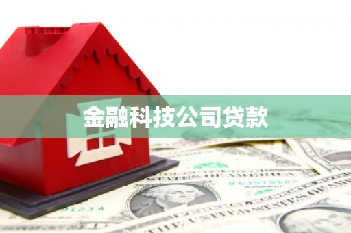 庆元金融科技公司贷款