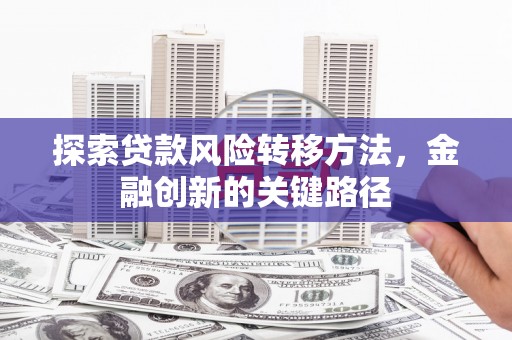 庆元探索贷款风险转移方法，金融创新的关键路径