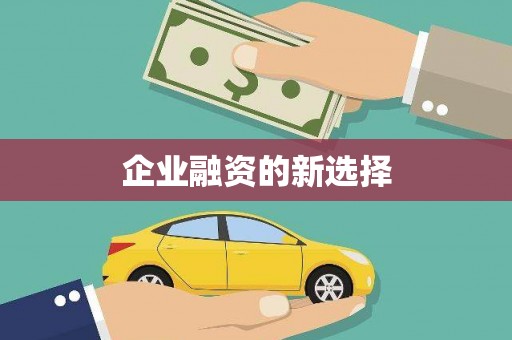 庆元企业融资的新选择