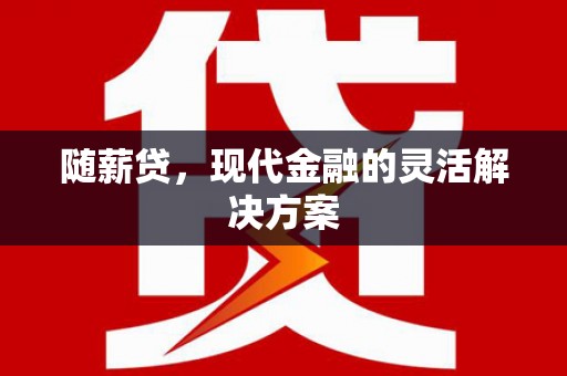 庆元随薪贷，现代金融的灵活解决方案
