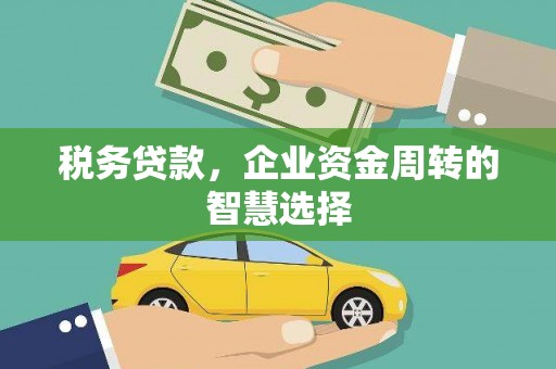 庆元税务贷款，企业资金周转的智慧选择