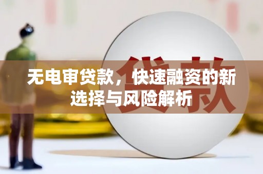 庆元无电审贷款，快速融资的新选择与风险解析
