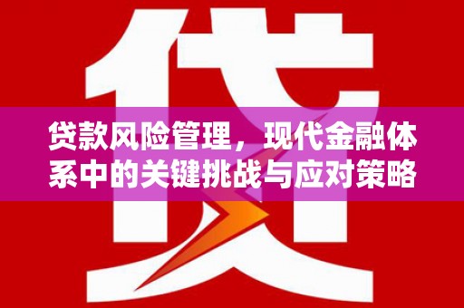 庆元贷款风险管理，现代金融体系中的关键挑战与应对策略