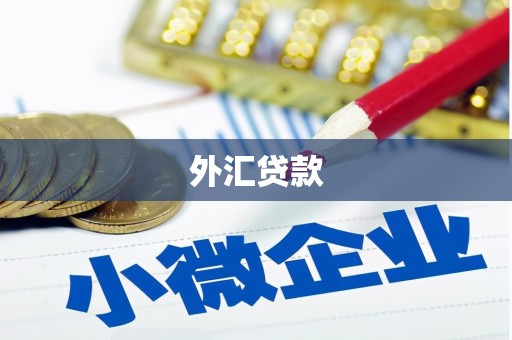 庆元外汇贷款