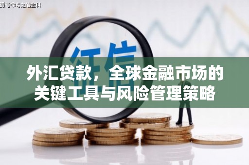 庆元外汇贷款，全球金融市场的关键工具与风险管理策略