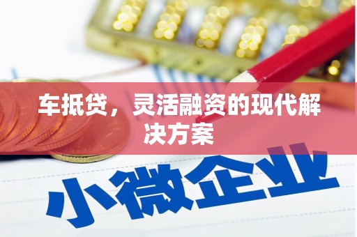 庆元车抵贷，灵活融资的现代解决方案
