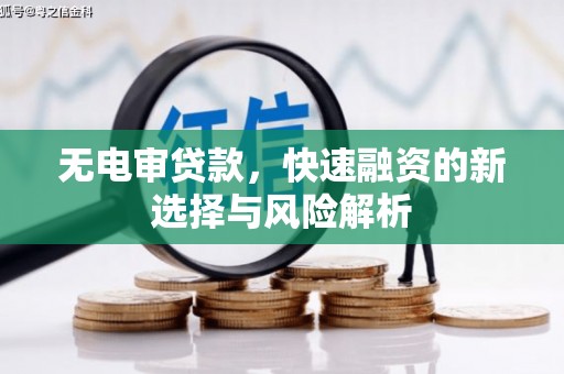 庆元无电审贷款，快速融资的新选择与风险解析