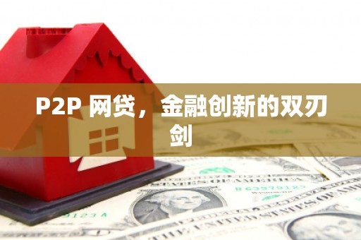 庆元P2P 网贷，金融创新的双刃剑