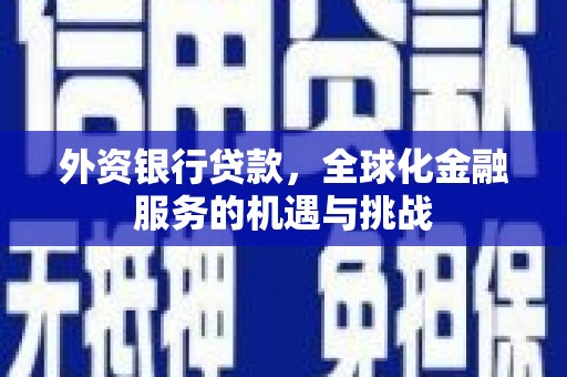 庆元外资银行贷款，全球化金融服务的机遇与挑战