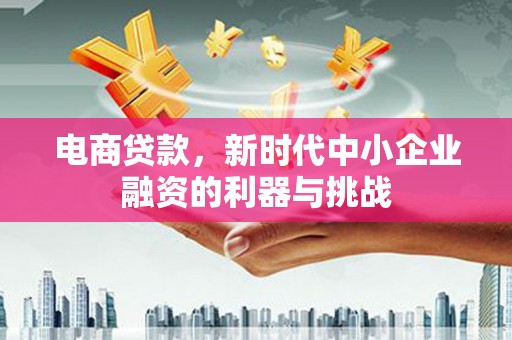 庆元电商贷款，新时代中小企业融资的利器与挑战
