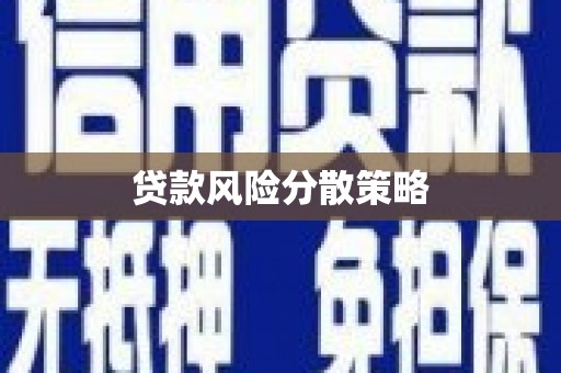 庆元贷款风险分散策略