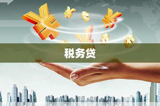 庆元税务贷