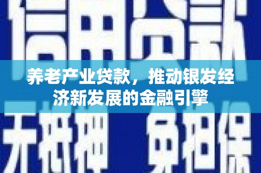 庆元养老产业贷款，推动银发经济新发展的金融引擎