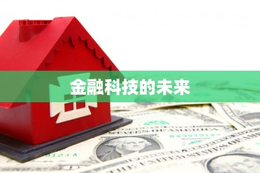 庆元金融科技的未来