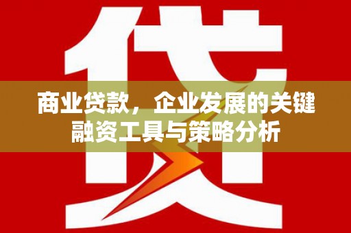 庆元商业贷款，企业发展的关键融资工具与策略分析